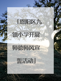 恩阳区九镇小学开展师德师风宣誓活动