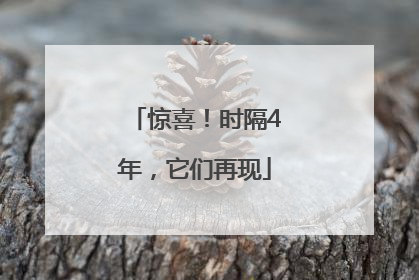 惊喜！时隔4年，它们再现