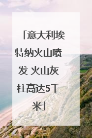意大利埃特纳火山喷发 火山灰柱高达5千米