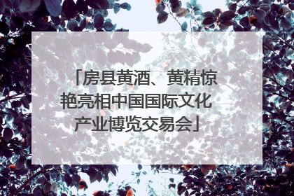 房县黄酒、黄精惊艳亮相中国国际文化产业博览交易会