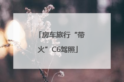 房车旅行“带火”C6驾照