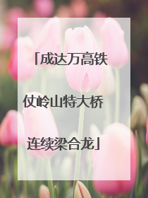成达万高铁仗岭山特大桥连续梁合龙