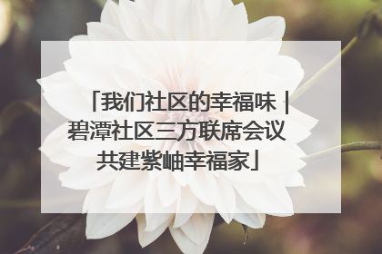 我们社区的幸福味｜碧潭社区三方联席会议共建紫岫幸福家