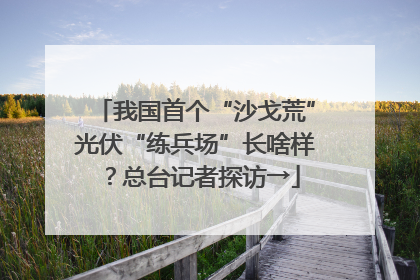 我国首个“沙戈荒”光伏“练兵场”长啥样？总台记者探访→