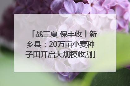 战三夏 保丰收丨新乡县：20万亩小麦种子田开启大规模收割