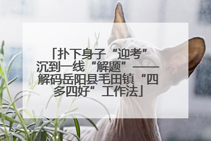 扑下身子“迎考” 沉到一线“解题”——解码岳阳县毛田镇“四多四好”工作法