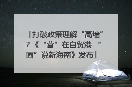 打破政策理解“高墙”？《“营”在自贸港 “画”说新海南》发布