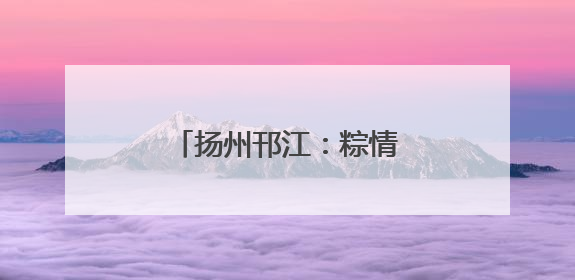 扬州邗江：粽情端午 爱满东兴