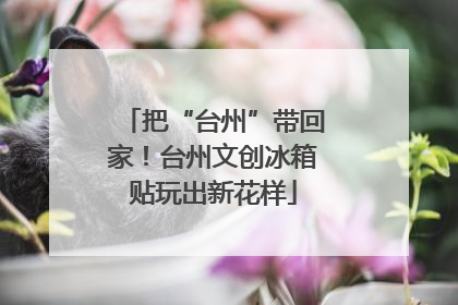 把“台州”带回家！台州文创冰箱贴玩出新花样