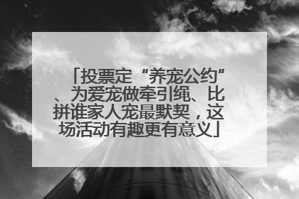 投票定“养宠公约”、为爱宠做牵引绳、比拼谁家人宠最默契，这场活动有趣更有意义