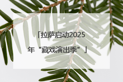 拉萨启动2025年“藏戏演出季”