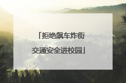 拒绝飙车炸街 交通安全进校园