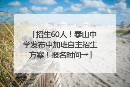招生60人！泰山中学发布中加班自主招生方案！报名时间→