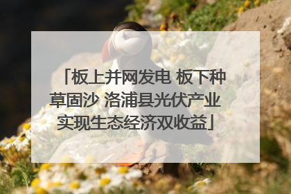 板上并网发电 板下种草固沙 洛浦县光伏产业实现生态经济双收益
