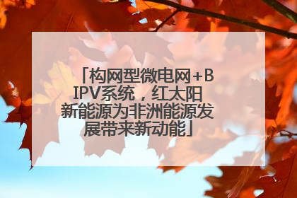 构网型微电网+BIPV系统，红太阳新能源为非洲能源发展带来新动能