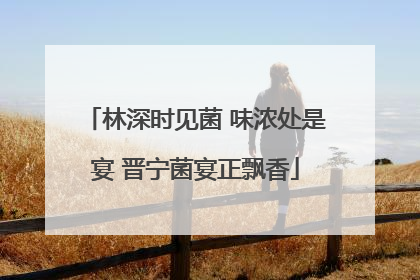 林深时见菌 味浓处是宴 晋宁菌宴正飘香