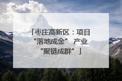 枣庄高新区：项目“落地成金” 产业“聚链成群”