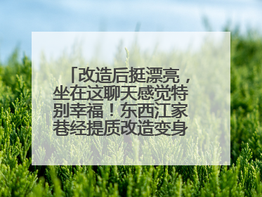 改造后挺漂亮，坐在这聊天感觉特别幸福！东西江家巷经提质改造变身居民自治幸福家