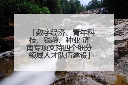 数字经济、青年科技、银龄、种业 济南专项支持四个细分领域人才队伍建设