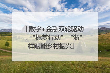 数字+金融双轮驱动，“栀梦行动”“浙”样赋能乡村振兴