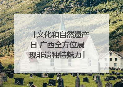 文化和自然遗产日 广西全方位展现非遗独特魅力