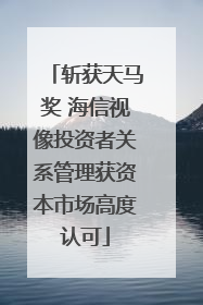 斩获天马奖 海信视像投资者关系管理获资本市场高度认可