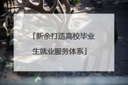 新余打造高校毕业生就业服务体系