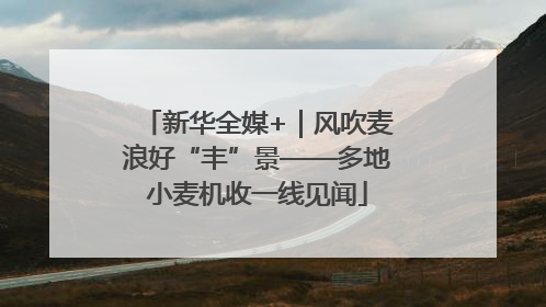 新华全媒+｜风吹麦浪好“丰”景——多地小麦机收一线见闻