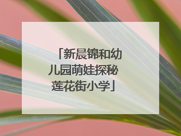 新晨锦和幼儿园萌娃探秘莲花街小学