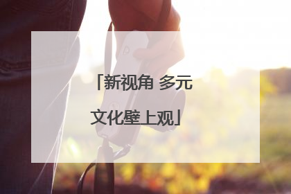 新视角 多元文化壁上观