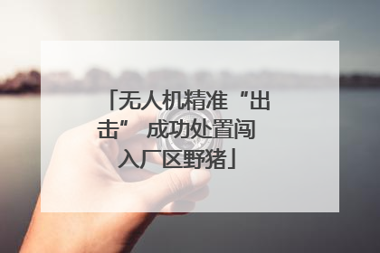无人机精准“出击” 成功处置闯入厂区野猪