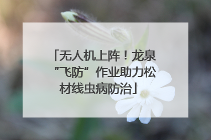 无人机上阵！龙泉“飞防”作业助力松材线虫病防治