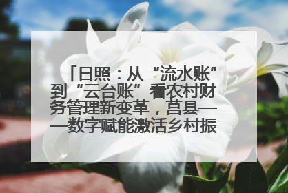 日照：从“流水账”到“云台账”看农村财务管理新变革，莒县——数字赋能激活乡村振兴“一池春水”