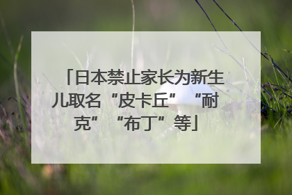 日本禁止家长为新生儿取名“皮卡丘”“耐克”“布丁”等