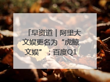 早资道｜阿里大文娱更名为“虎鲸文娱”；百度Q1总营收325亿元超预期