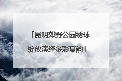 昆明郊野公园绣球绽放演绎多彩夏韵