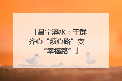 昌宁漭水：干群齐心“烦心路”变“幸福路”