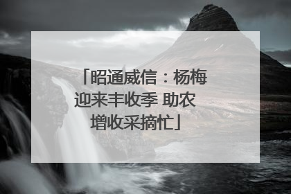 昭通威信：杨梅迎来丰收季 助农增收采摘忙
