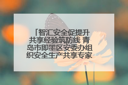 智汇安全促提升 共享经验筑防线 青岛市即墨区安委办组织安全生产共享专家现场观摩学习活动