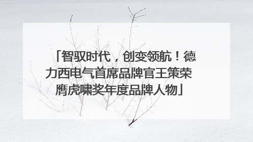 智驭时代，创变领航！德力西电气首席品牌官王策荣膺虎啸奖年度品牌人物