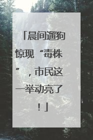 晨间遛狗惊现“毒株”，市民这一举动亮了！