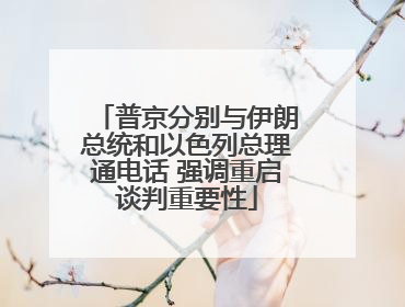 普京分别与伊朗总统和以色列总理通电话 强调重启谈判重要性