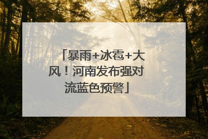 暴雨+冰雹+大风！河南发布强对流蓝色预警