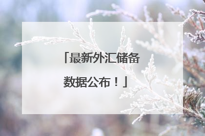最新外汇储备数据公布！