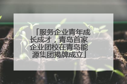 服务企业青年成长成才，青岛首家企业团校在青岛能源集团揭牌成立