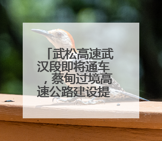 武松高速武汉段即将通车，蔡甸过境高速公路建设提速