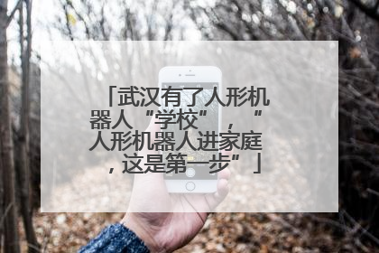 武汉有了人形机器人“学校”，“人形机器人进家庭，这是第一步”