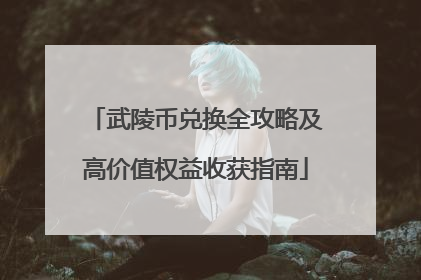 武陵币兑换全攻略及高价值权益收获指南