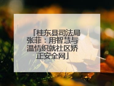 桂东县司法局张菲：用智慧与温情织就社区矫正安全网