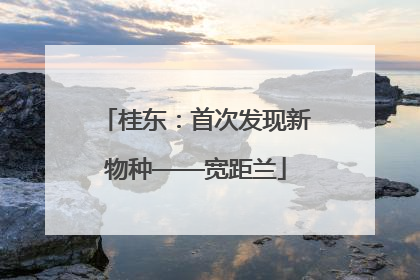 桂东：首次发现新物种——宽距兰